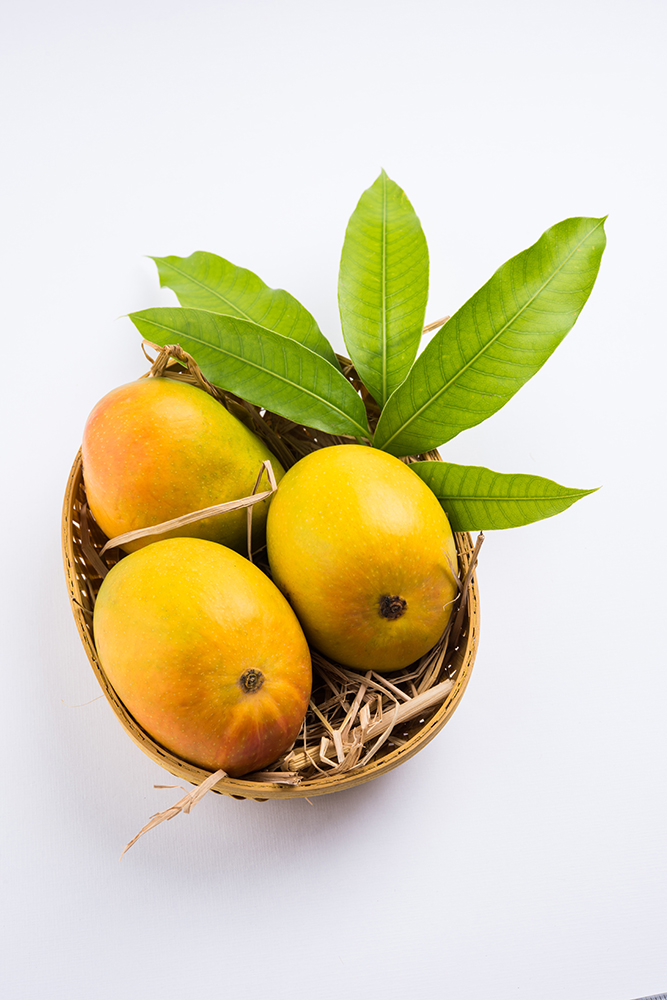 Premium Alphonso Mango (Devgad)